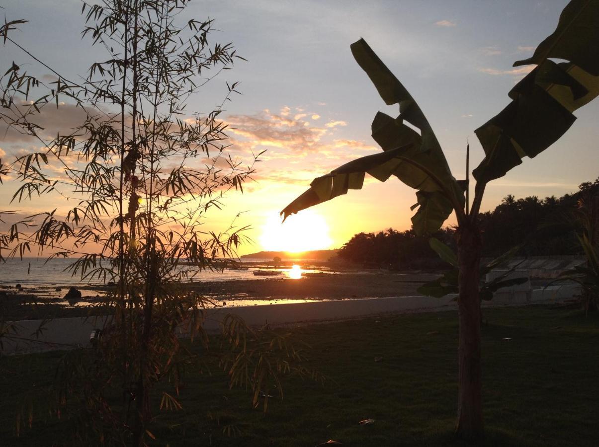 Bamboobeachvilla1 Ac New Oceanfront Pool Sunsetview Garden Kitchen Satellite Starlink Wi-Fi Dimiao Ngoại thất bức ảnh