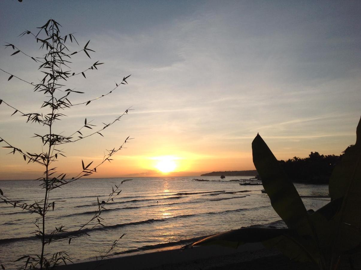 Bamboobeachvilla1 Ac New Oceanfront Pool Sunsetview Garden Kitchen Satellite Starlink Wi-Fi Dimiao Ngoại thất bức ảnh